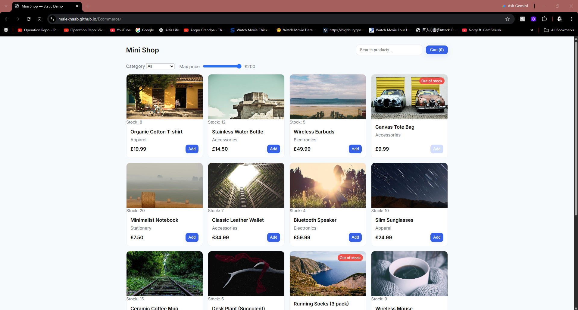 Ecommerce Website